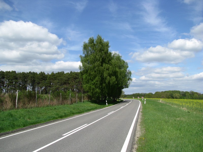 Landschaft nordwestlich der L 4 in der Nhe von Leussow (LWL) [Mai 2010]