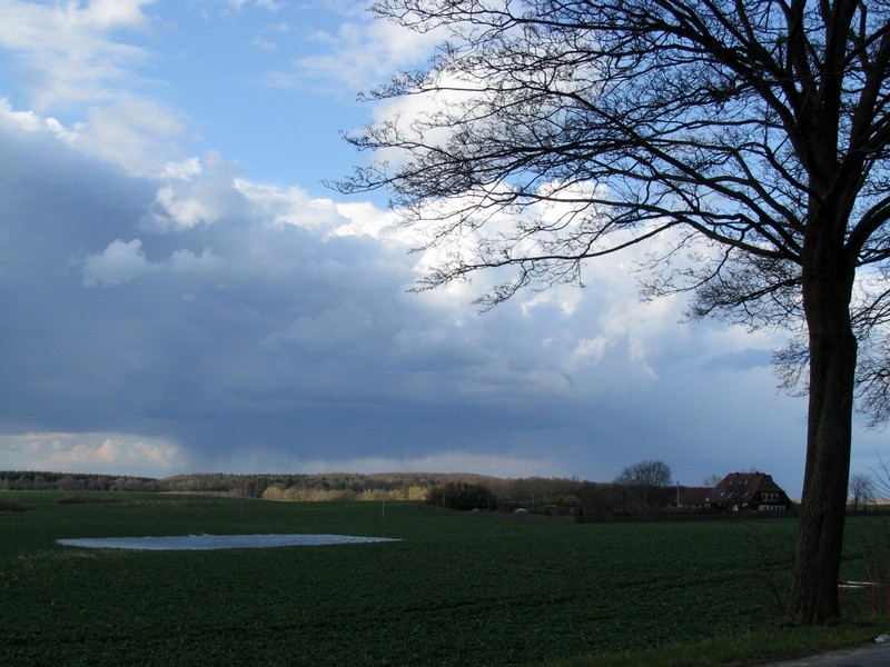 Landschaft westlich von Kietzin an der Strae von Moltow nach Dorf Mecklenburg mit einem bergang vom Sonnenschein zu Regenwetter, 04.04.2010