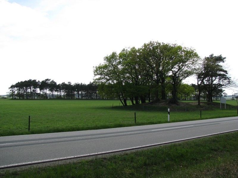 Landschft am westlichen Ortsausgang von Pinnau an der B 195 (LG [NS]), 05.05.2010