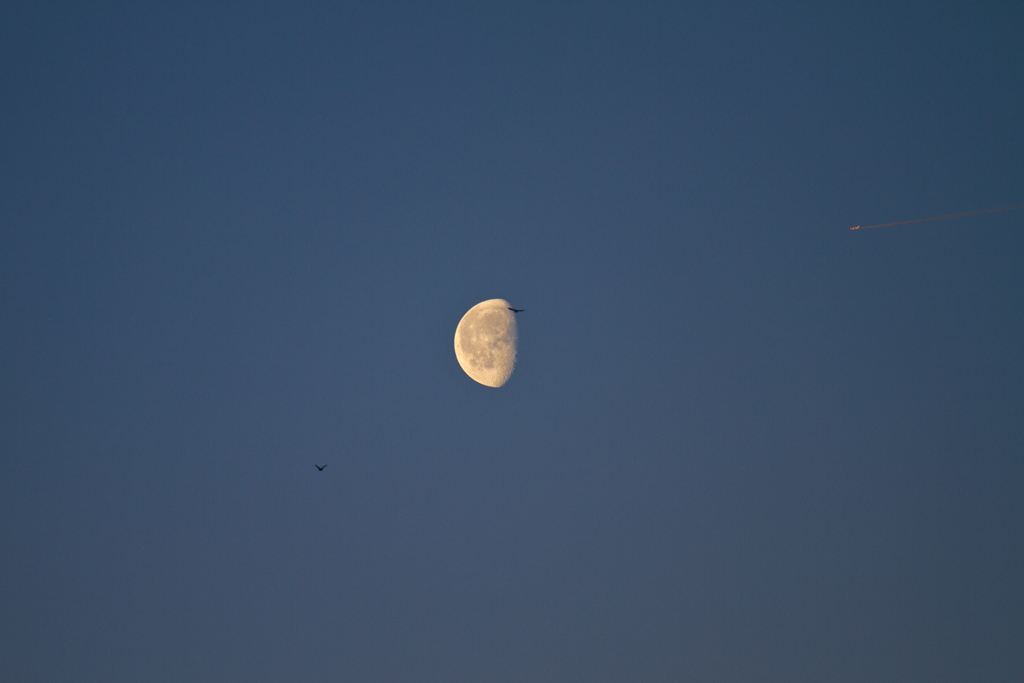 ,,Mond-Attacke  - Am 14.01.2012 um 8:18:54 Uhr
