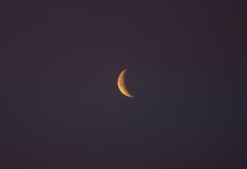 Mondsichel in der Morgendmmerung. - 07.03.2013