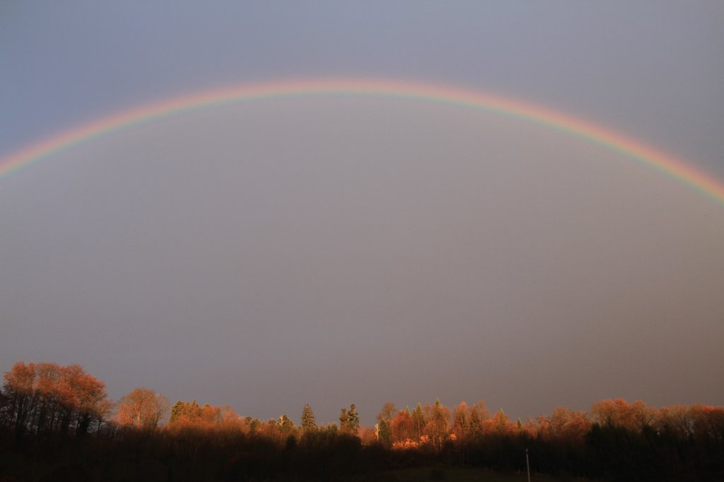 Morgendlicher Regenbogen am 10.11.2010.