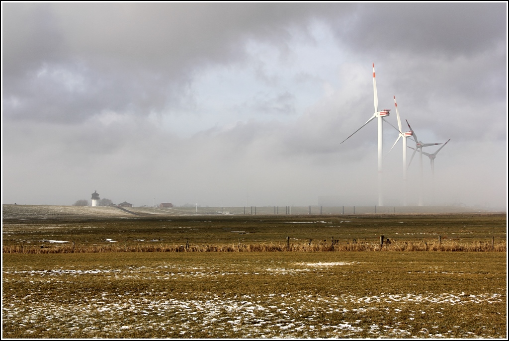 Nebel wabert �ber das Deichvorland bei Altenbruch an der Unterelbe.