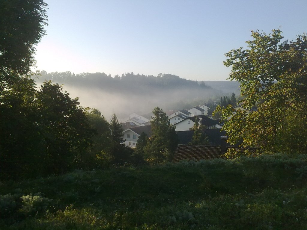 Nebelschwaden ber dem Hardtberg in Kraiburg.
