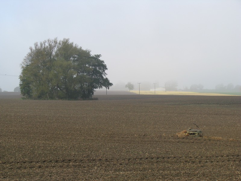 Nordwestmecklenburg; herbstliche Landschaft an der Gemeindestrae nach Pieverstorf, 25.10.2008