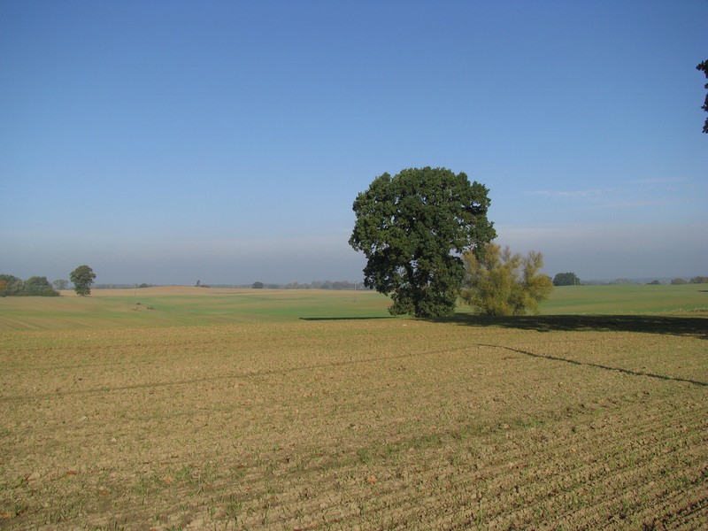 Nordwestmecklenburg; herbstliche Landschaft an der Landesstrae (L 02) von Blieschendorf nach Hanshagen, 11.10.2008