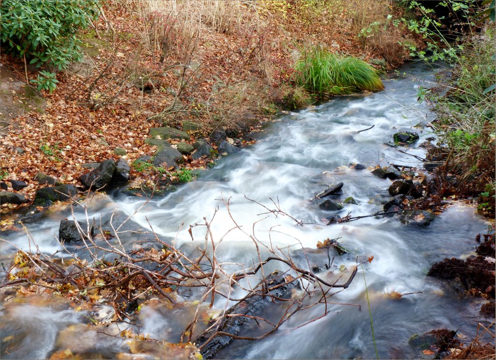 Oberlauf der �rtze bei Munster im November. Erste Winterst�rme haben