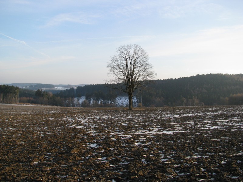 Saale-Orla-Kreis; Landschaft an der landesstrae Lobenstein nach Neundorf mit Blick zur Bayerischen Grenze [Januar 2008]