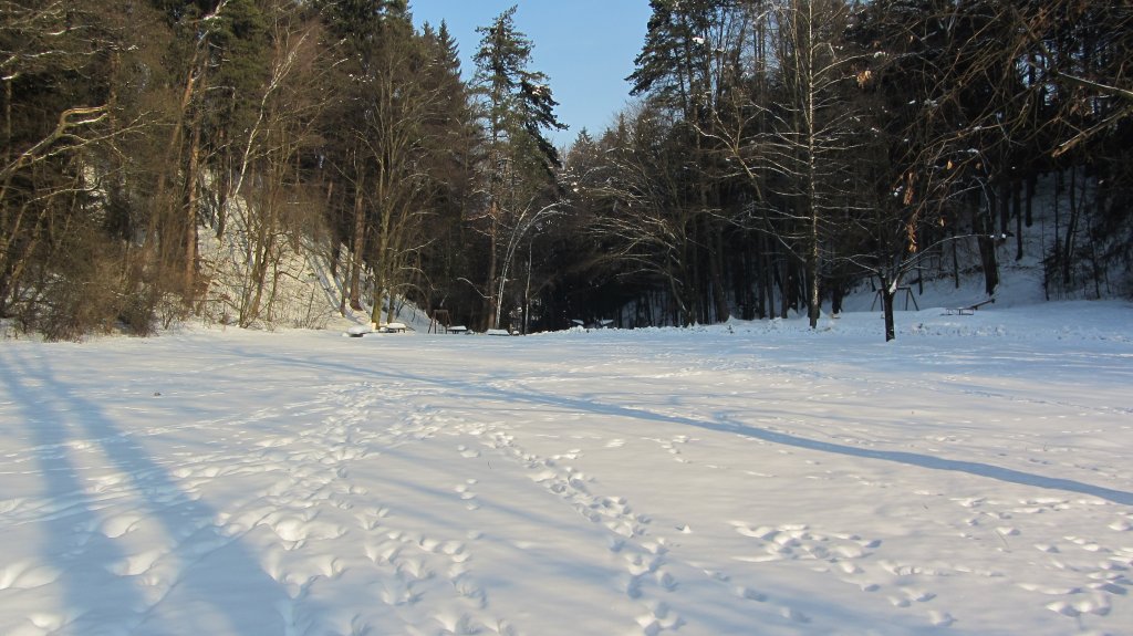 Schneefeld bei Brixlegg am 8.2.2012.