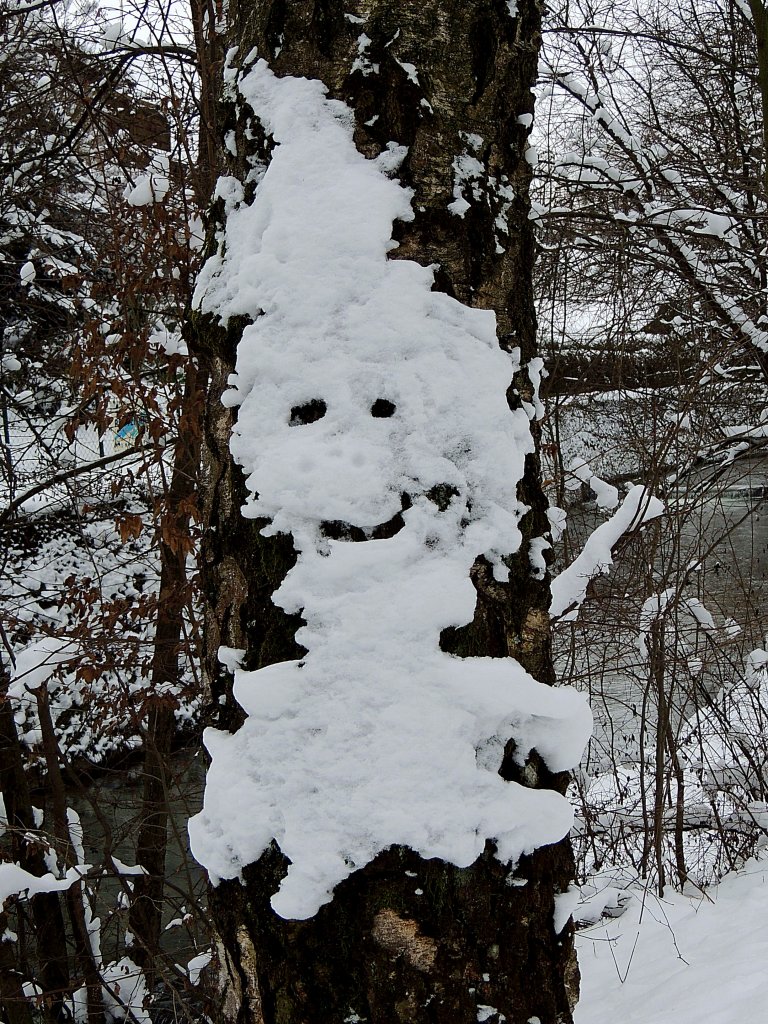 Schneemnnchenfigur hat sich an einem Baumstamm gebildet; 130119