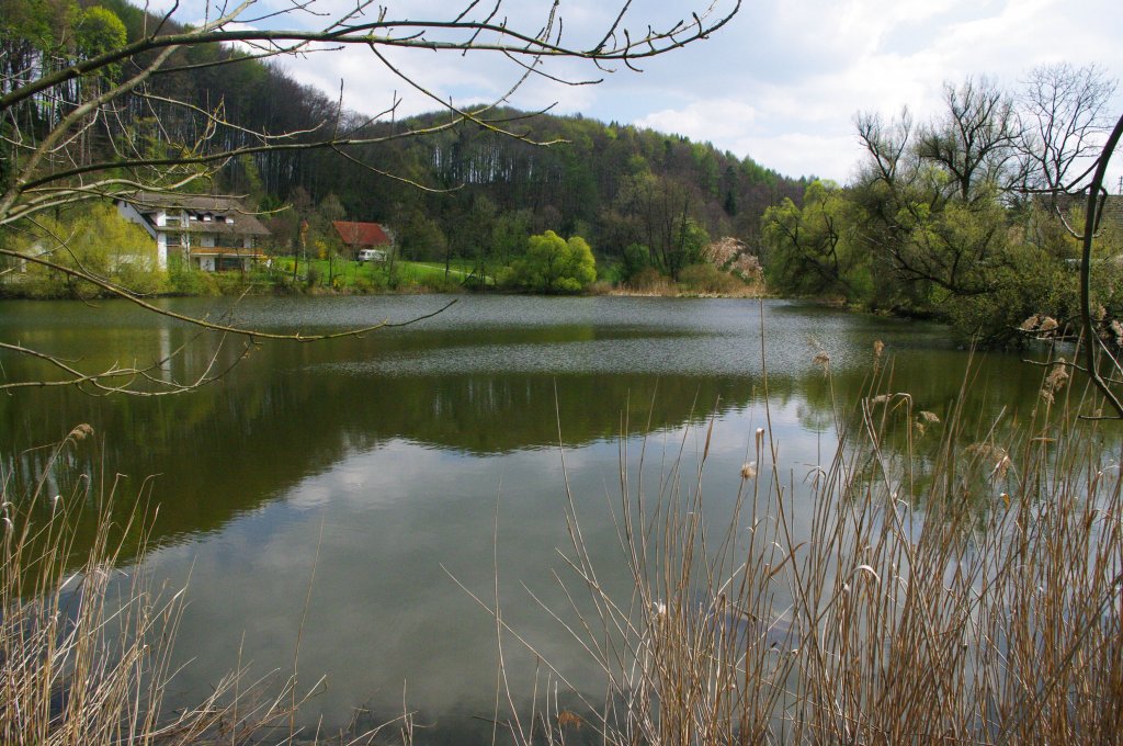 See bei Reichau, Ortsteil von Boos, Landkreis Unterallgu (16.04.2011)