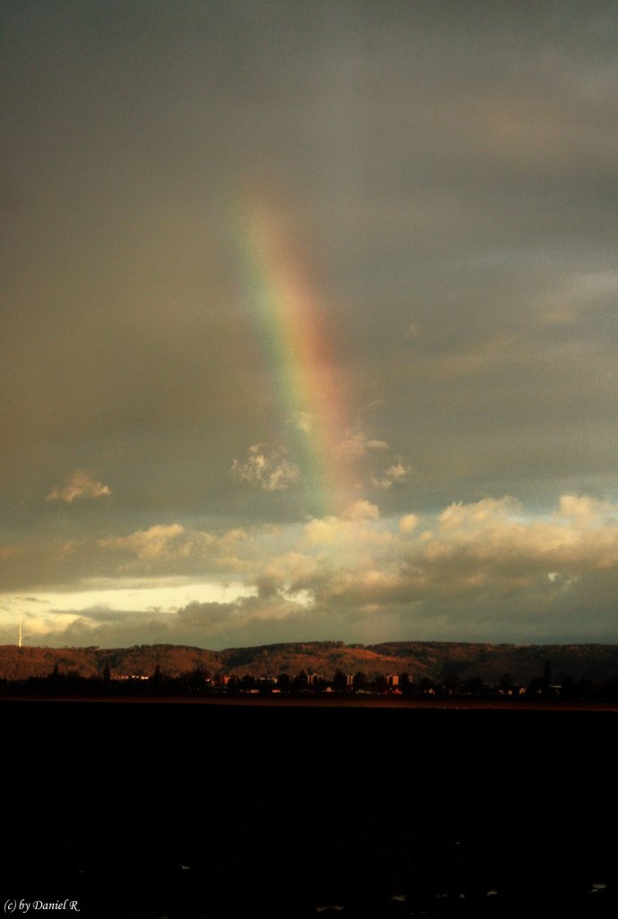  Somewhere over the Rainbow  so lautet ein Titel aus den aktuellen Charts. Dieses Bild zeigt einen Regenbogen der sich gerade in den Himmel ragt. (16.01.11, Mangolding)