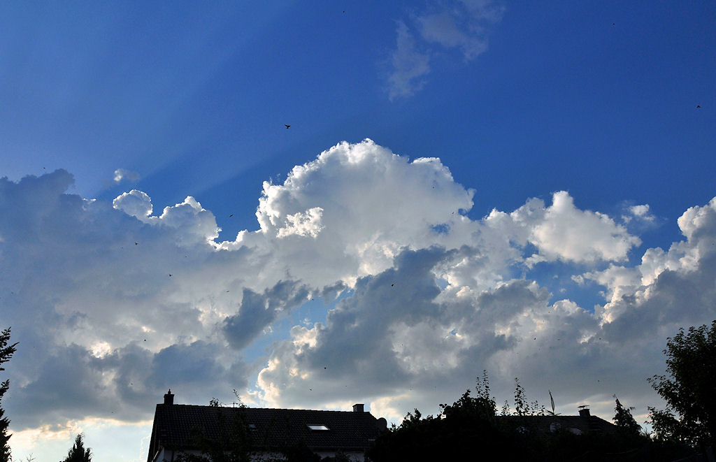 Sommerwolken, Sonnenstrahlen und ein Vogelschwarm (sind die kleinen schwarzen  Pnktchen  im Bild) - 11.07.2010