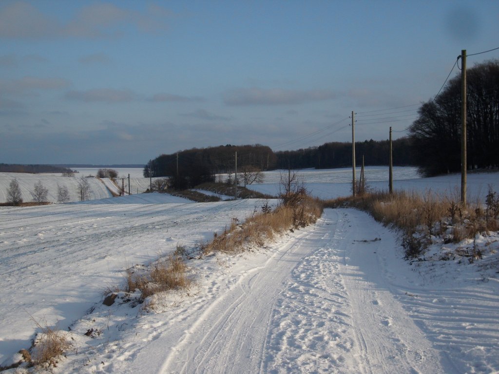 Sonne und Schnee bei Bergen/Rgen Anfang Januar 2010.