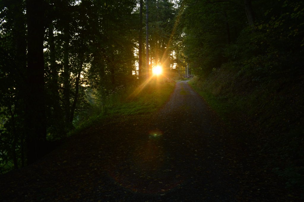 Sonnenuntergang am Abend des 22.9.2012 auf dem Fuweg von der Minneburgruine zum Parkplatz.....