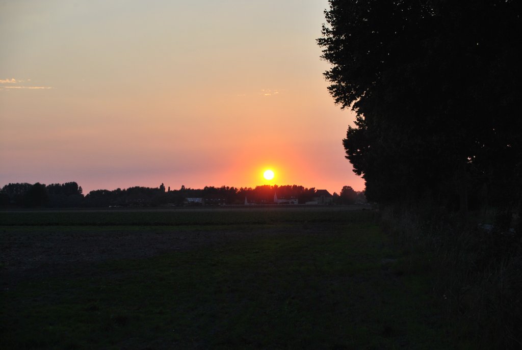 Sonnenuntergang in Lehrte am 21.08.10.