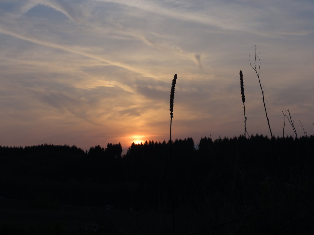 Sonnenuntergang in Wilwerwiltz Luxemburg (26.04.2011)