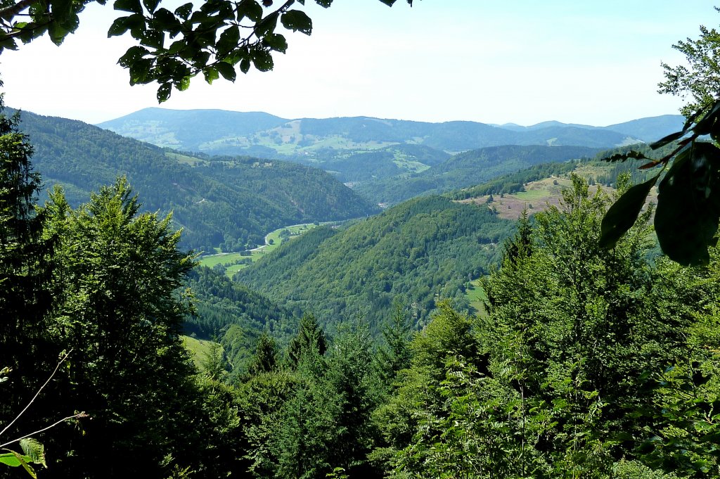 sdlicher Schwarzwald, Blick vom Hasenhorn ins Wiesental, Aug.2012