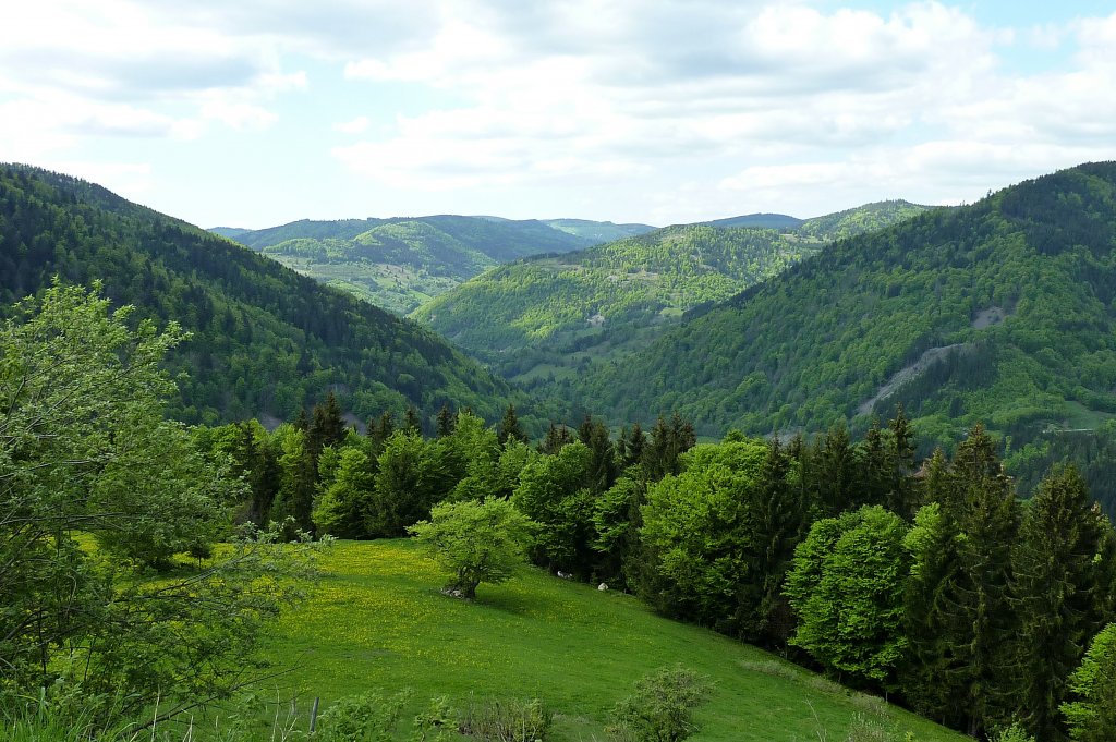 Tal im sdlichen Schwarzwald bei Prg, Mai 2012
