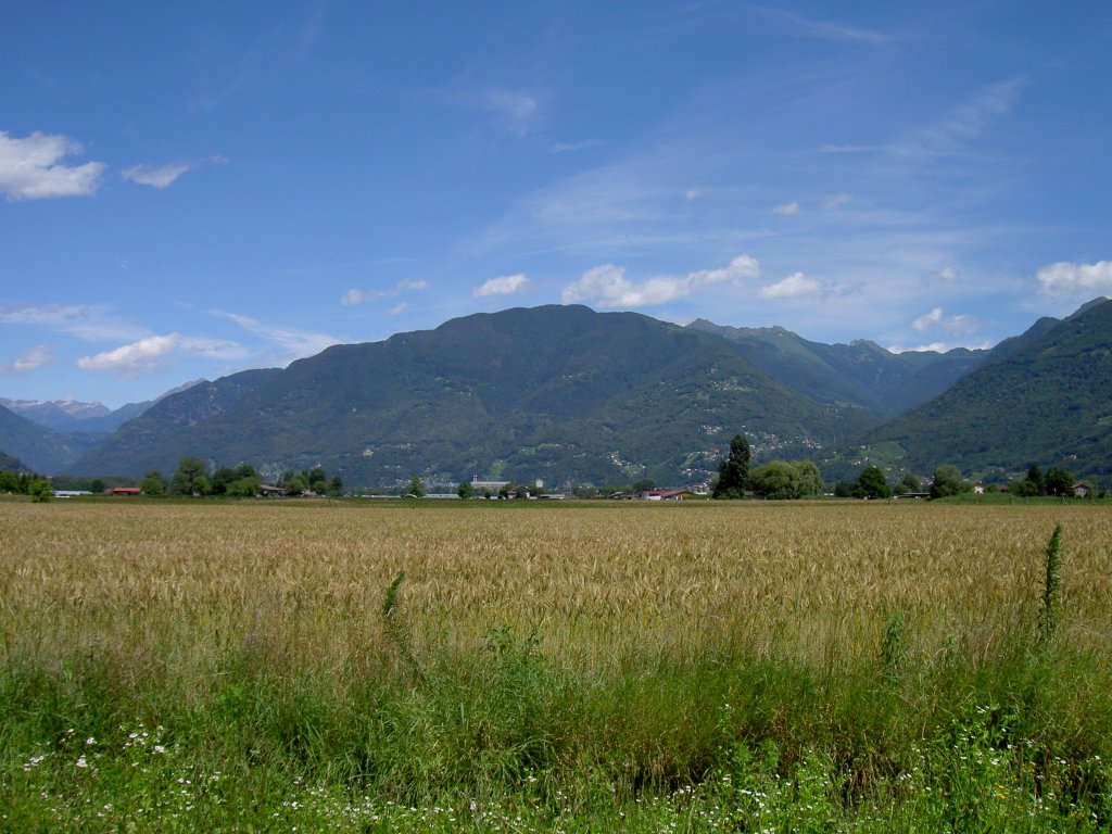 Tessin, Vedeggiotal bei Bironico (18.06.2011)