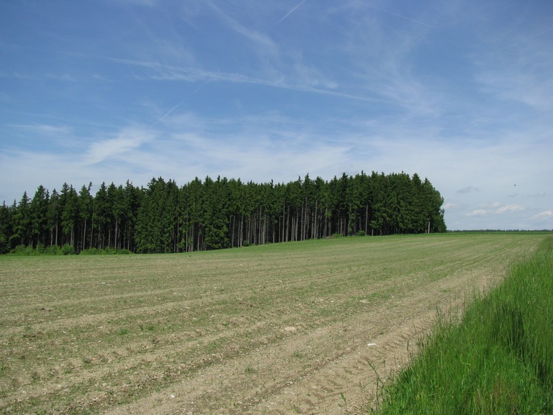 Tpen (HO); bayrische Landschaft bei Tpen an der B 2, Tpen 06.06.2010
