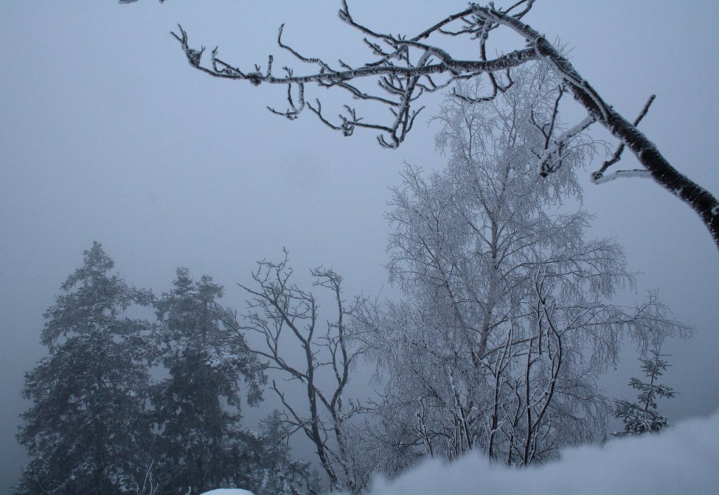  ber allen Gipfeln ist Ruh ...Blick am spten Vormittag des 02.12.2012 von den Hahnenkleeklippen hinunter Richtung Odertal, das in dichtem Nebel liegt; vom Rehberg gegenber ist nichts zu sehen...