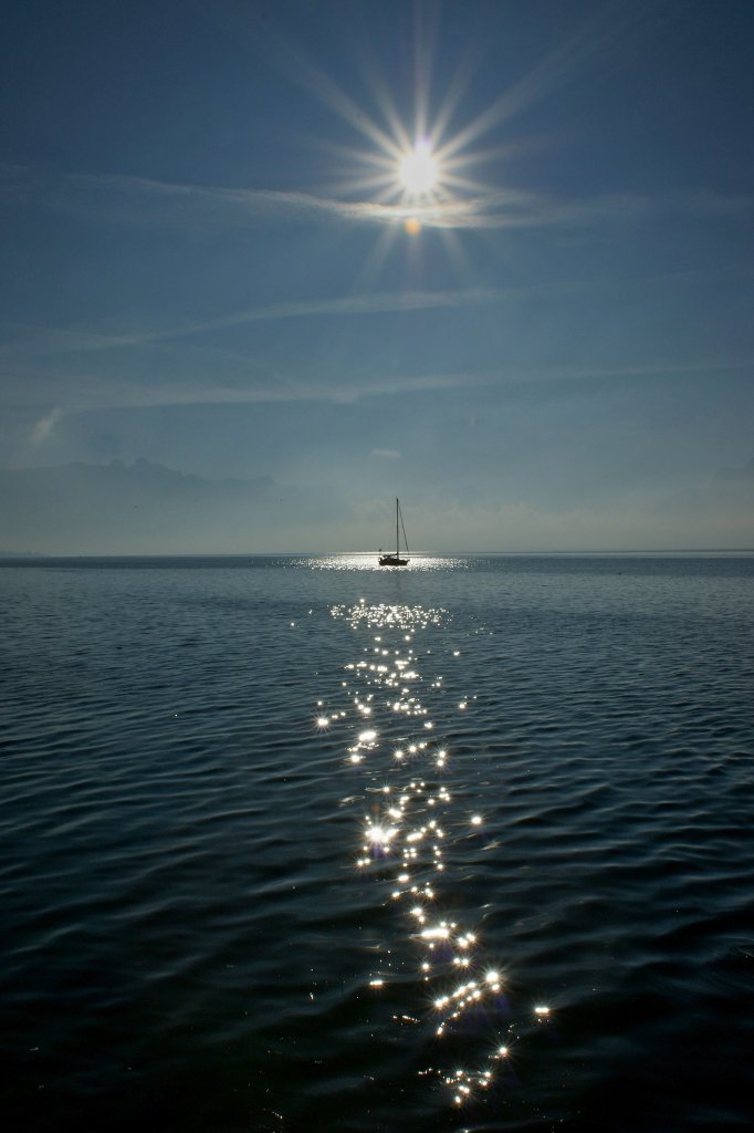 Umgeben vom Licht: Herbstfahrt auf dem See.
(29.10.2010)