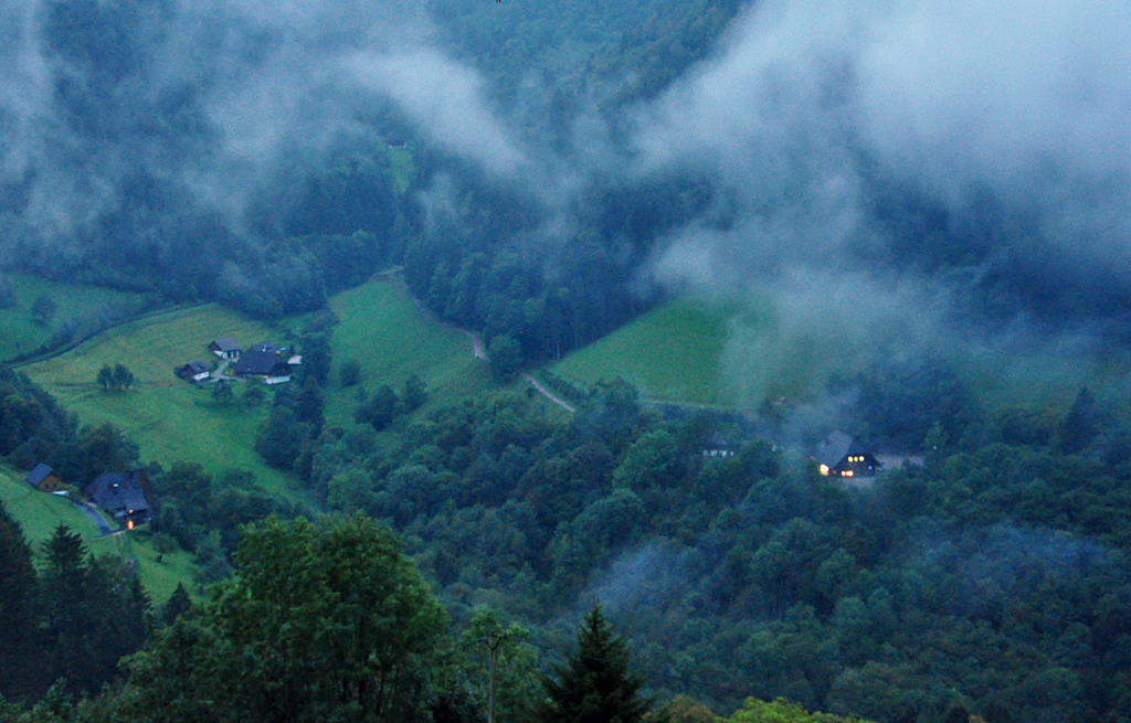 Unheimlicher Schwarzwald, bei Regen, tiefen Wolken und kurz vor Sonnenuntergang - kurz vor Furtwangen - 04.09.2011