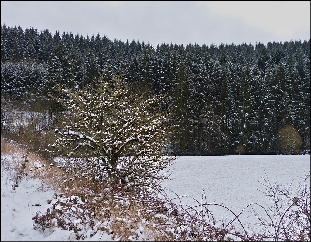 Verschneite Landschaft in Lellingen. 18.01.2013 (Jeanny)