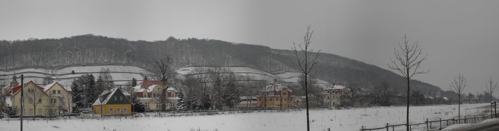Weinberge Pillnitz (Panorama)