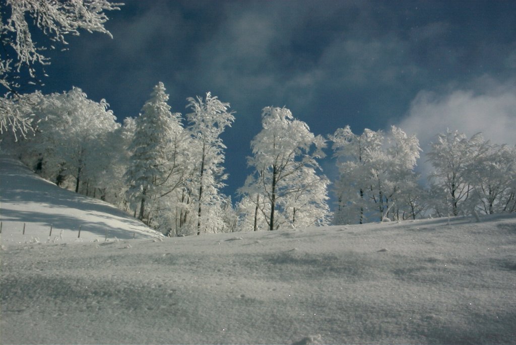 Winter 2006 im Zrcher Oberland.