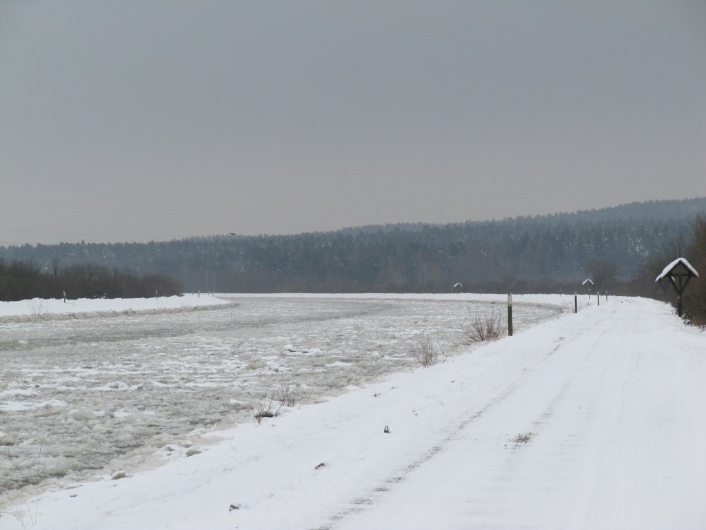Winter am Elbe-Seitenkanal zwischen Uelzen und Bad Bodenteich. 14.01.2010