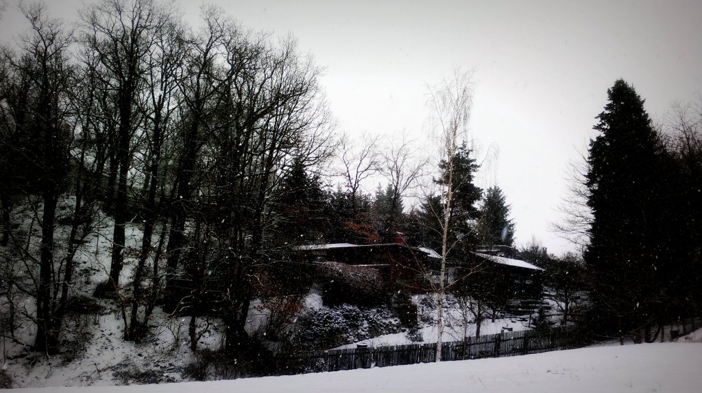 Winterlandschaft in Zeulenroda. Foto 13.03.13