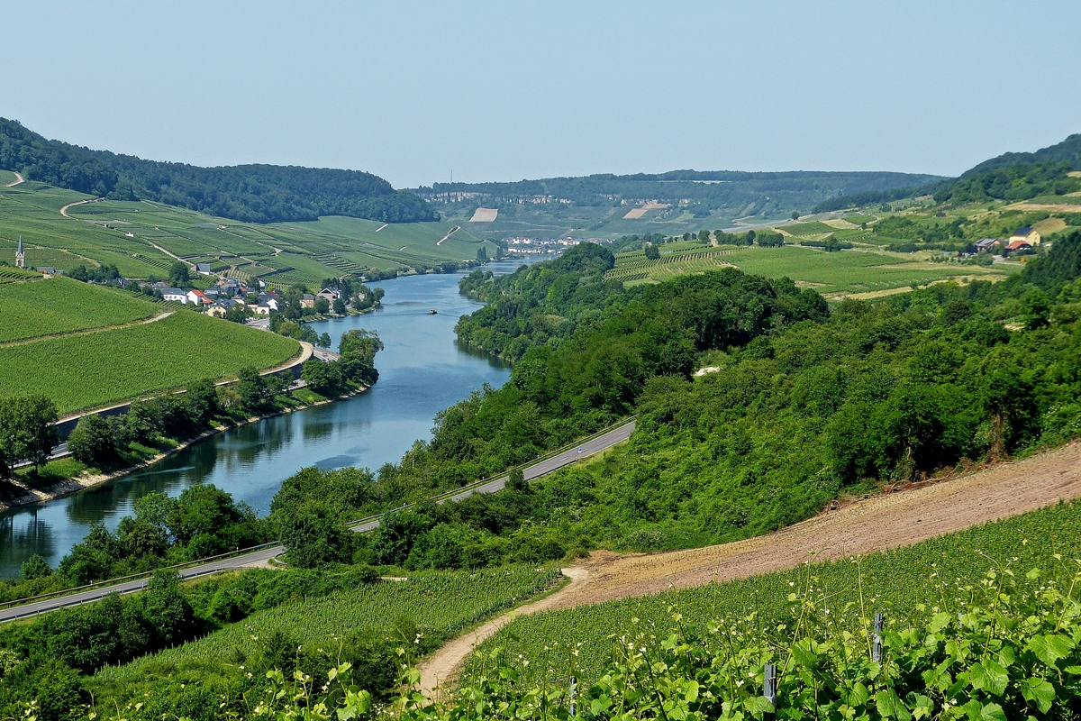 . Die Mosel als Grenzfluss zwischen Luxemburg und Deutschland. Wincheringen, 09.06.2014 (Jeanny)