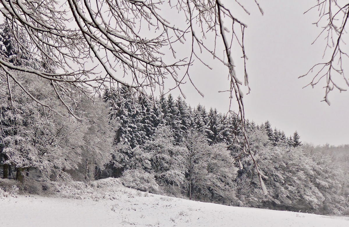. Drauffelt (Luxemburg) - Der Winter hat Einzug gehalten in Drauffelt. 27.12.2014 (Jeanny)
