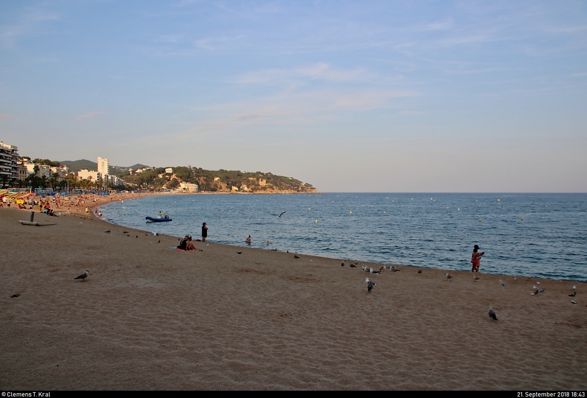 Abendlicher Blick auf die Costa Brava am Mittelmeer in Lloret de Mar (E).
[21.9.2018 | 18:43 Uhr]