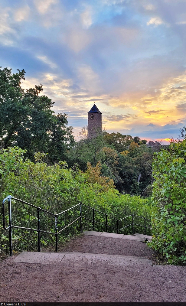 Abendspaziergang durch den Amtsgarten in Halle (Saale), wo von Weitem der Turm der Burg Giebichenstein über die Bäume ragt.

🕓 24.9.2022 | 18:49 Uhr