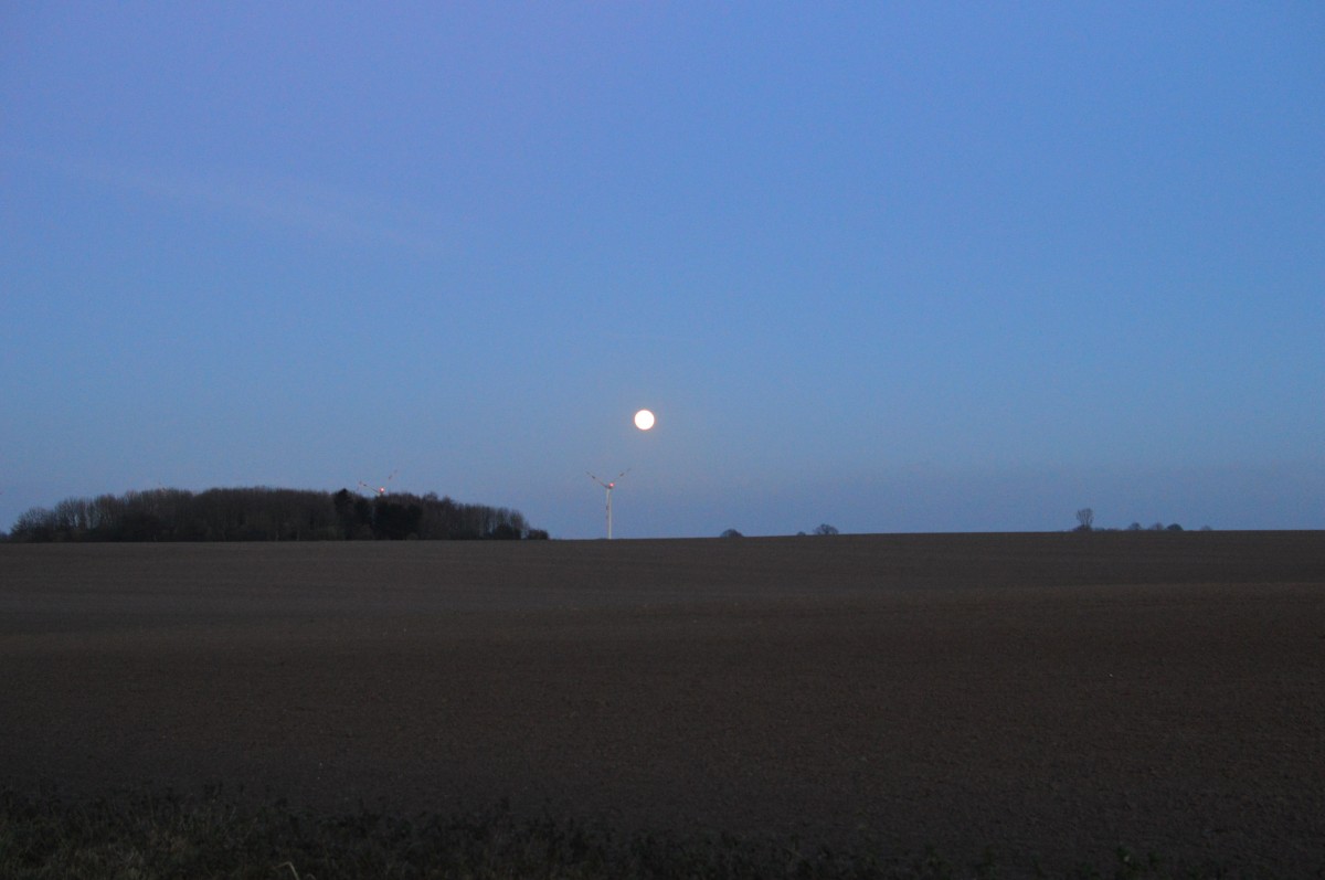 Abendstimmung im Dyckerländchen. Am Abend des 4.1.2015 machte ich diese Aufnahme des schon aufgegangen Mondes unweit von Jüchen Damm, das in der nähe des Nikolaus Klosters und von Schloss Dyck am linken Niederrhein gelegen ist.