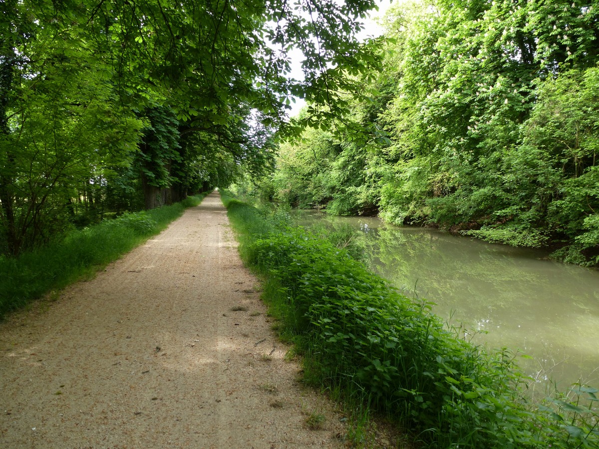 am Alten Rhein-Rhone-Kanal im Elsa zwischen Kunheim und Biesheim, Mai 2015