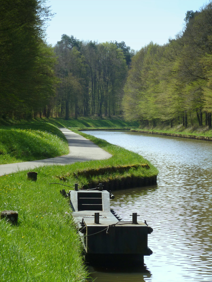 Am Rhein-Marne Kanal östlich von Réchicourt. 21.04.2016