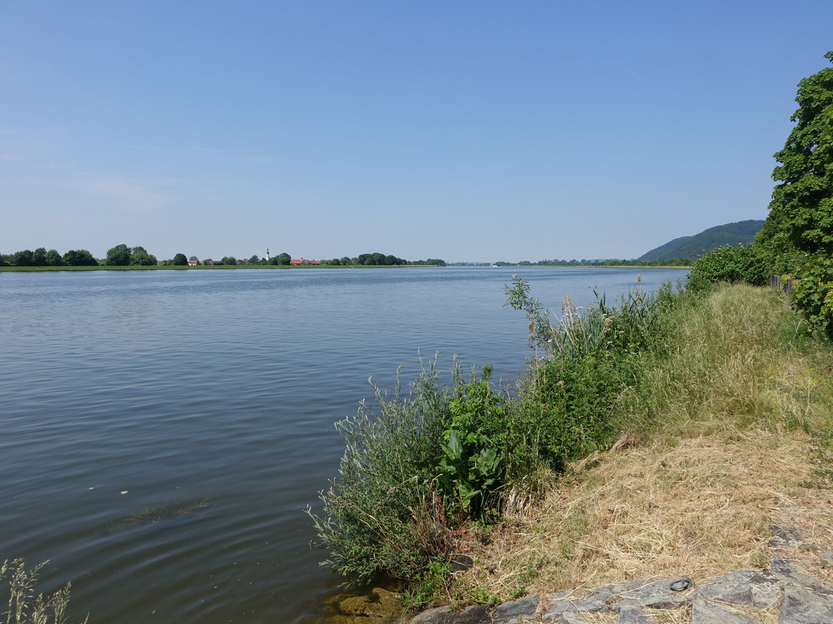 An der Donau bei Frengkofen, Niederbayern (02.06.2017)