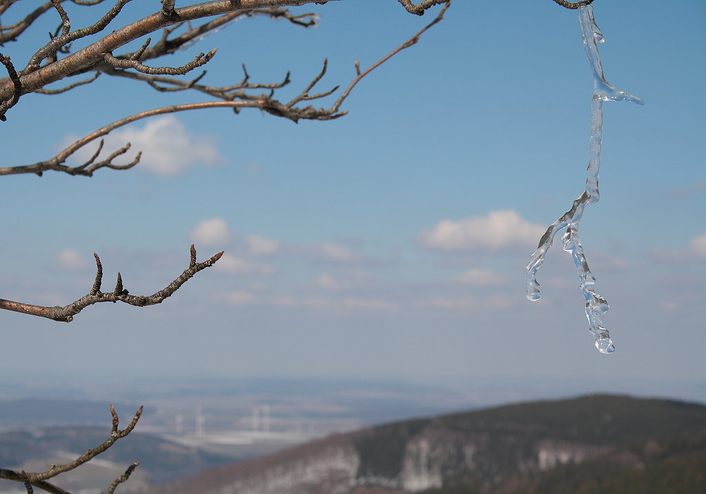 An den Zweigen einer Eberesche hängt ein Eisgebilde; Aufnahme vom Nachmittag des 07.04.2013 auf der Kästeklippe hoch über dem Okertal... 