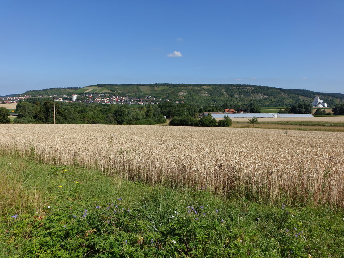 Aussicht auf den Geisslesberg und Wiedenberg bei Hammelburg, Rhön (07.07.2018)