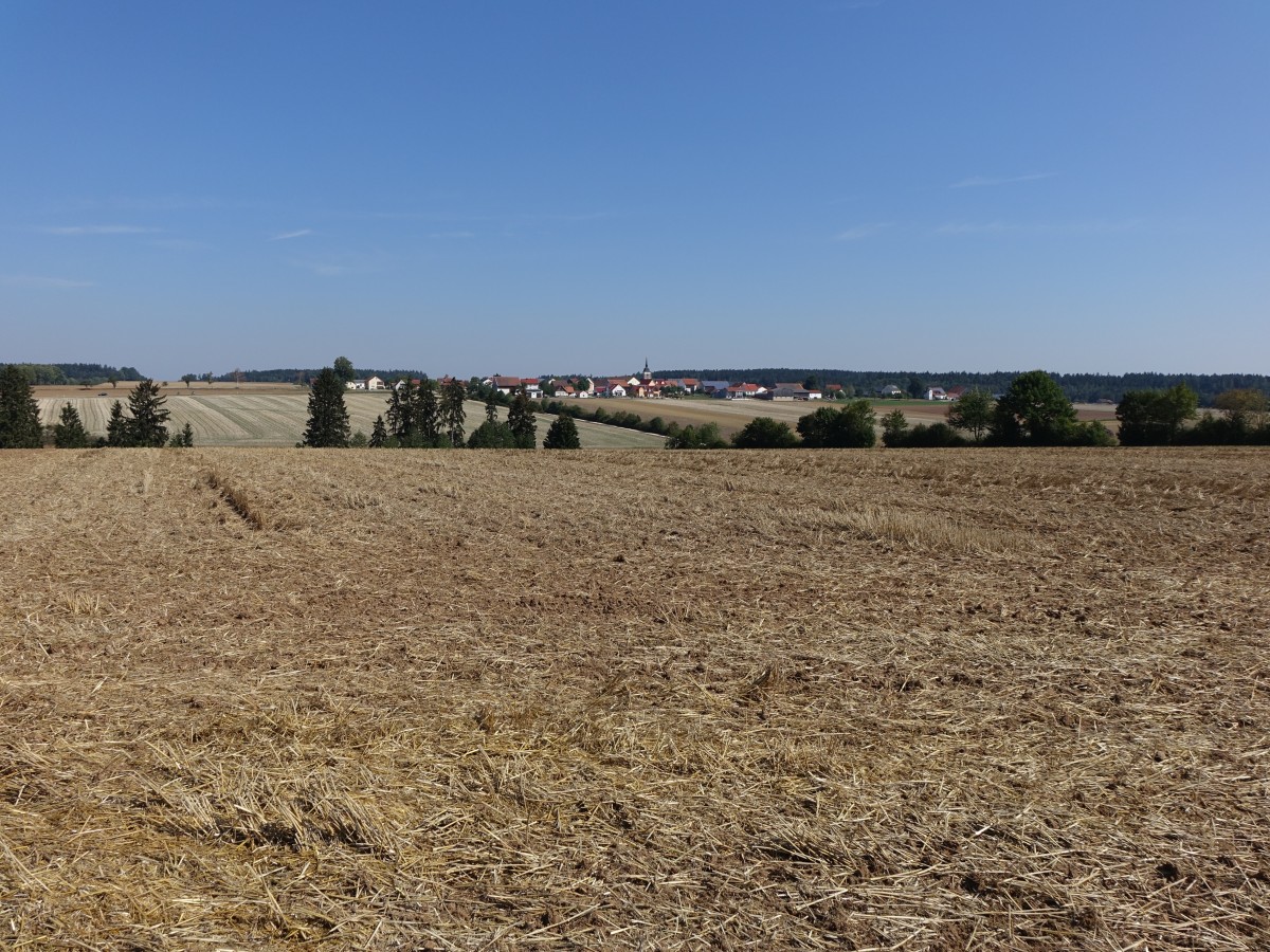 Aussicht auf Kraftsbuch auf der Jurahochfläche im Landkreis Roth (23.08.2015)