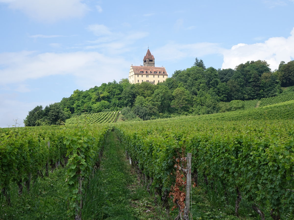 Aussicht auf Schloss Stockheim im Wurmbachtal bei Heilbronn (24.07.2016)