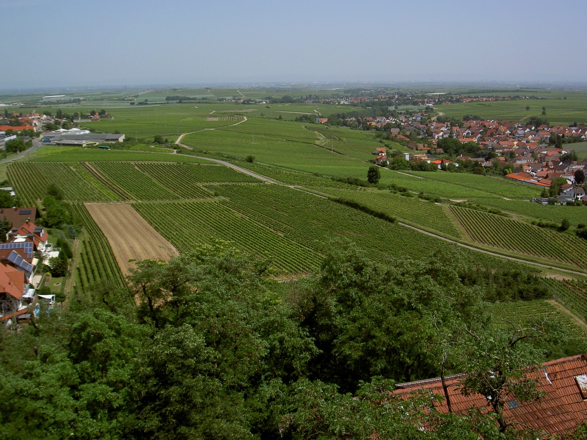 Aussicht von der Burg Neuleiningen (08.06.2014)