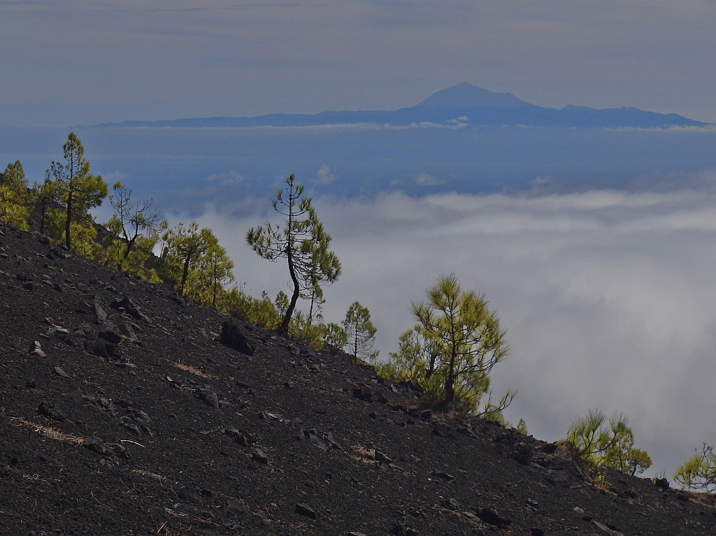 Aussicht vom Hang des Volcn Martn auf die wolkenverhangene Ostseite von La Palma sowie die im Hintergrund liegende Insel Teneriffa mit dem 3718 m hohe Pico del Teide (Oktober 2013).