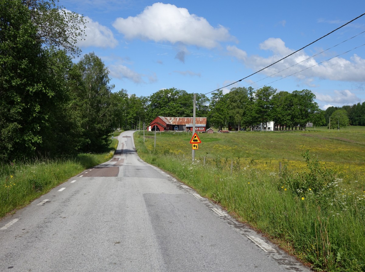 Bauernhof an der Straße von Häverud nach Tisselskog, Värmland (19.06.2015)
