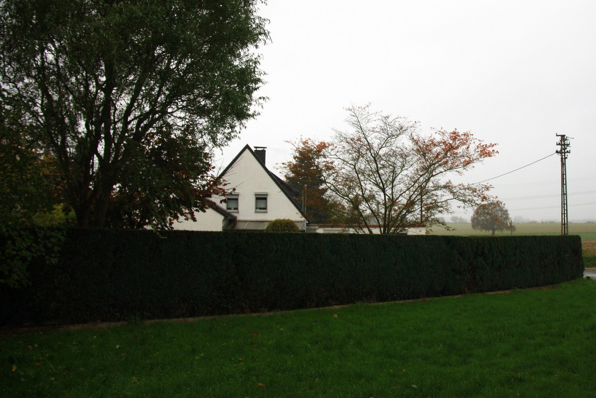 Bei Regen im Garten in Kohlscheid-Bank am 12.11.2013.