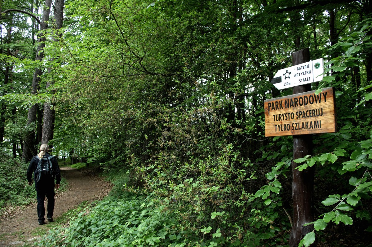 Biała Góra.

Woliński Park Narodowy - Nationalpark Wollin.

Aufnahmedatum: 22. Mai 2015